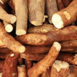 5 raisons d’ajouter de la farine de manioc à votre alimentation